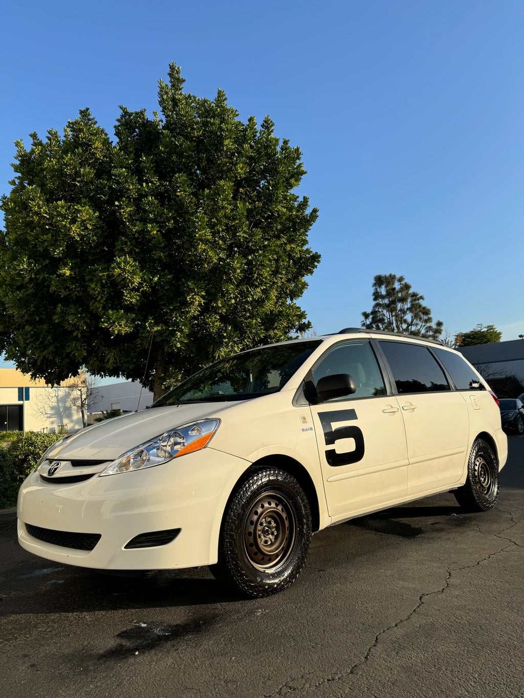 GREYSCALE 08 TIRE MATTE | Natural Tire, Trim, Interior Conditioner
